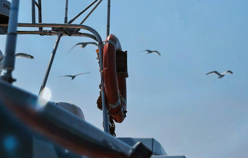 Photo of a lifesaver on a boat